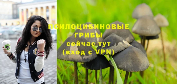 спиды Алзамай