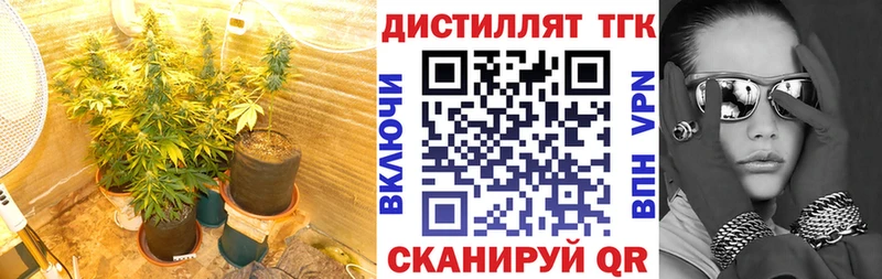 ТГК гашишное масло Новоалтайск